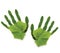 Greenpeace spring Ecological symbol hand of natu