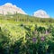 Greeny Forest view of
Crowsnest Pass , Alberta