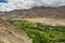 Greeny season in Leh city, Ladakkh, India