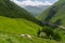 Greeny or summer season in Juta valley, Caucasus mountain range in Georgia