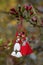 Greeting card background for the arrival of spring. Red-white man and woman figures martenitsa - Bulgarian spring symbol