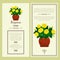 Greeting card with begonia plant