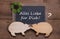 Greeting card with clover and two wooden pigs - like a couple -