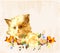 Greeting card with ginger kitten