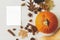 Greeting card mockup and pumpkin, autumn leaves, anise, pine cones, acorn, nuts and cinnamon on white wooden background. Empty
