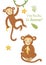 Greeting card with monkeys with funny inscription. Vector graphics