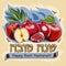 Greeting card with pomegranate for Jewish New Year, Rosh Hashanah. Vector. Hebrew text, english translation: happy rosh