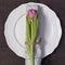 Greeting card for Valentine`s day. Decoration of the wedding table. On a white plate a napkin with a tulip, beautifully tied. Woo