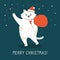 Greeting Christmas card cat gift santa bag vector