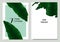 Greeting/invitation card template design, green Asplenium nidus, Bird`s Nest Fern on blue