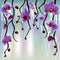Greeting vector background with orchids