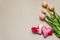 Greetings card, wallpaper, backdrop. Mothers Day, St.Valentines or Wedding. Gentle pink tulips, handmade felt hearts