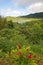 Grenada island - Grand Etang National Park - Grand Etang Lake