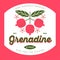 Grenadine label. Pomegranate syrup sticker. Ripe pomegranate fruits with leaves and flowers.