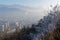 Grenoble from the Bastille hill with icy branches