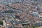 Grenoble roofs