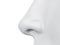 a grey abstract female nose