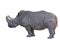 Grey african rhino isolated on white