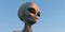 Grey Alien extremely detailed and realistic high resolution 3d illustration of an extraterrestrial being