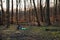 Grey backpack , bottle of water and blue yoga mat lying on the ground among the spring forest