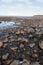 Grey beach boulders and rocks