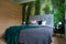 Grey bed with cushions and blanket in front of printed photo wallpaper with jungle theme