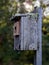 Grey Birdhouse Covered in Lichen