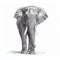 Grey, Black And White Elephant Print By Tehi Jensen - Hyper-realistic Animal Illustration