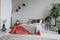 Grey blanket on red bed between plants and lamp in bedroom interior with carpet