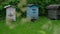 Grey blue and black wooden hives stand on local meadow