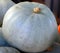 Grey and blue, Bleu de Hongrie Ungarischer Blauer Pumpkins