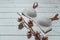 Grey bra with cotton brunch on wooden background, closeup