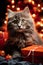 Grey British long-haired cat sits among the gifts of the Christmas tree