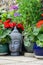 Grey Buddha head amongst garden plants