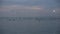 Grey calm water sunset and seabirds flying