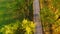 Grey car with roof carrier box driving autumn rural countryside road at sunset across trees. Top aerial view