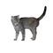 grey cat animal illustration cartoon polygon drawing feline geometry texture abstraction interest glass mosaic isolated pet kitten