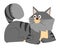 Grey cat laying. Cute pet with fluffy tail