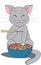 Grey cat and pho soup vector food illustration