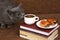 Grey cat sniffing a white Cup of black coffee