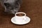 Grey cat sniffing a white Cup of black coffee