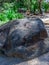 grey charcoal coloured large boulder in a Melbourne park