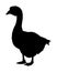 Grey Chinese Goose vector silhouette