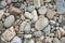 Grey cobbles rounded by river erosion at a former river bed