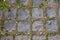 Grey Cobblestone walkway pattern