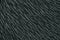 Grey color of hairy natural fur pattern texture background. Image photo