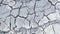 Grey crack of dried soil background