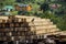 Grey crow sit on pile of wooden blocks