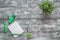 Grey desktop with stationery and a potted plant. View from above