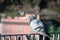 Grey dove is sitting on a fence in Riomaggiore town in Cinque Terre national park, Italy